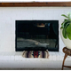 Rainbow Zero Clearance Fireplace Door