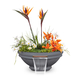 Roma GFRC Concrete Planter and Water Bowl In Gray