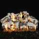 Grand Canyon 36" Quaking Aspen See Through Log Set