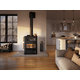 Gusto Wood Burning Cookstove by Osburn In Living Room