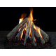Hargrove Pinnacle Series Short Sierra Stack Vented Gas Log Set with Burner Kit