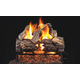 Real Fyre Charred Oak Vented Gas Log Set with G45 Triple T Burner Kit
